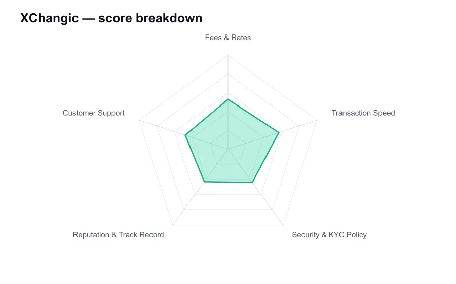 XChangic score breakdown by criterion, shown as a radar chart