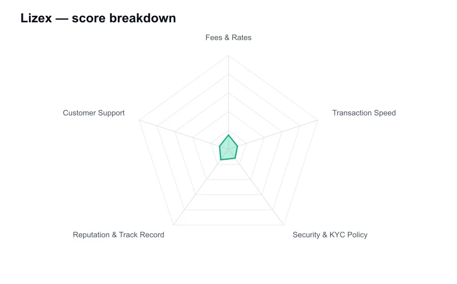 Lizex score breakdown by criterion, shown as a radar chart